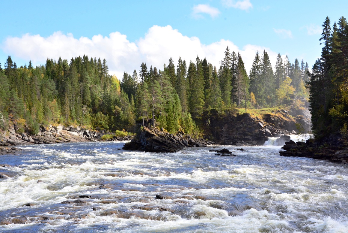 Weg entlang des linken Ufers
